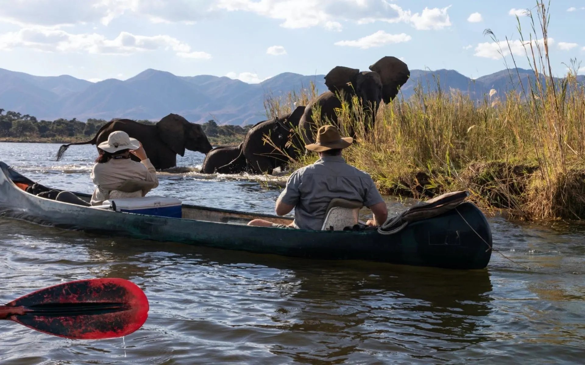 Two people in a canoe opposite elephants. 